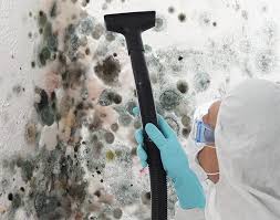 Best Mold Odor Removal Services in USA